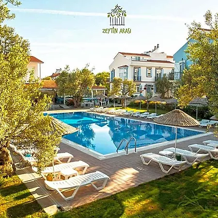 Zeytin Arasi 3* Altinova (Yalova)