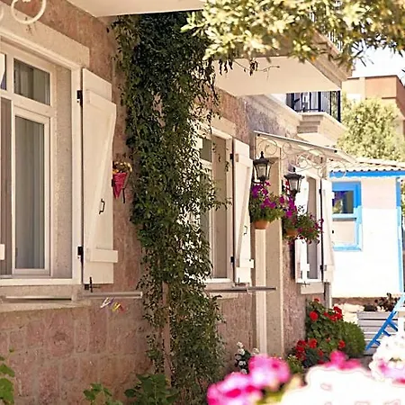 Zeytin Arasi 3*