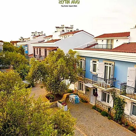 Zeytin Arasi