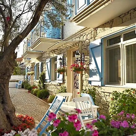 Zeytin Arasi 3*
