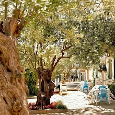 Zeytin Arasi Altinova (Yalova)