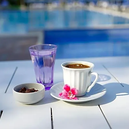 Hotell Zeytin Arasi