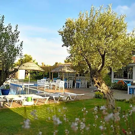 Hotell Zeytin Arasi 3*