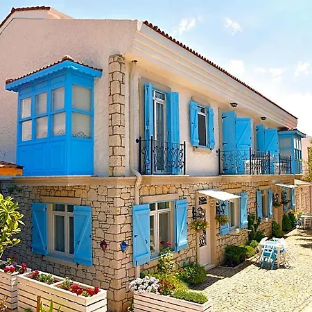 Zeytin Arasi Altinova (Yalova)