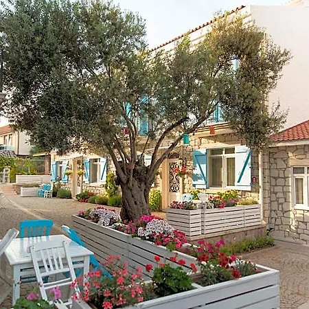 Hotell Zeytin Arasi Altinova (Yalova)
