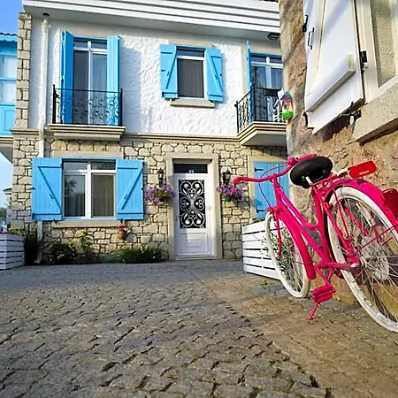 Zeytin Arasi Altinova (Yalova)